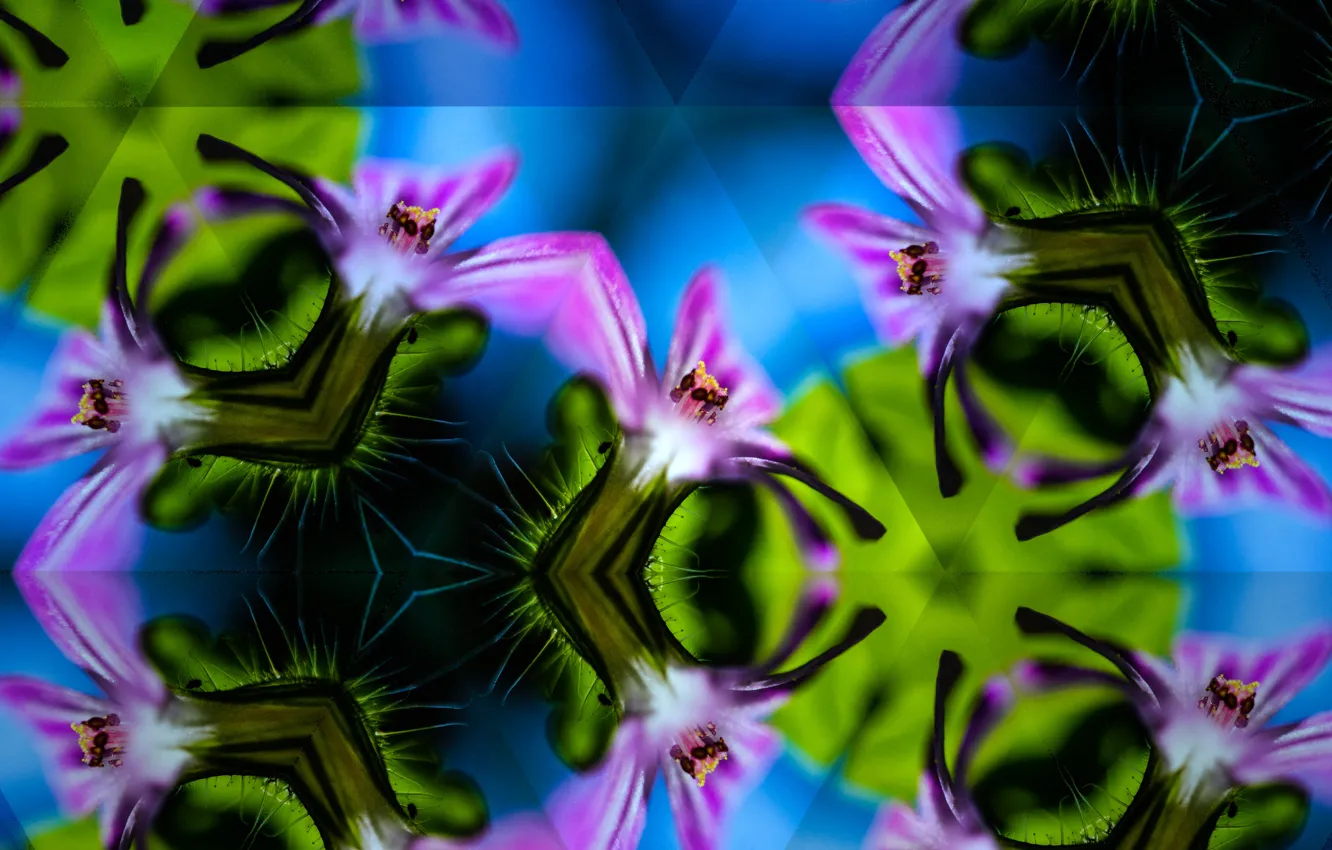 Photo wallpaper line, flowers, symmetry, kaleidoscope