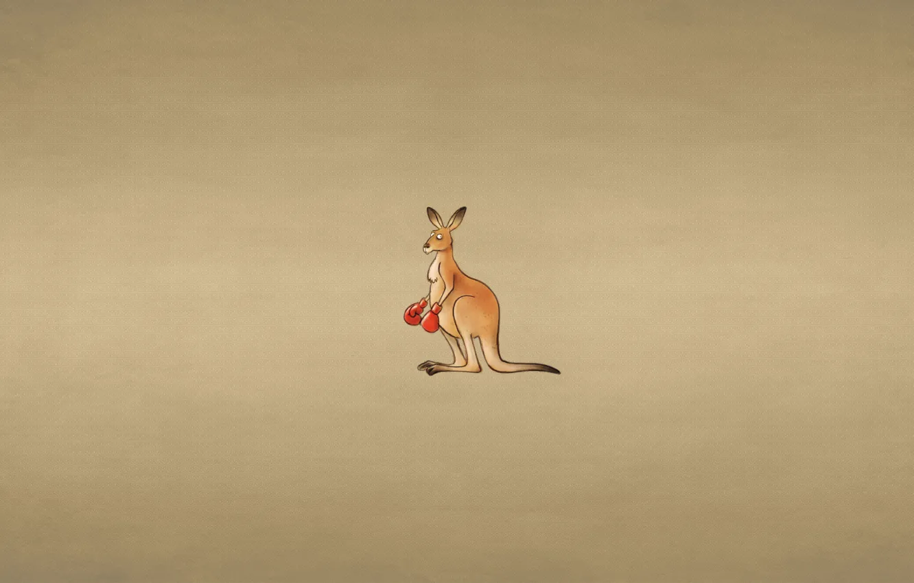 Photo wallpaper animal, minimalism, kangaroo, Boxing gloves, kangaroo, dark background, a discerning eye
