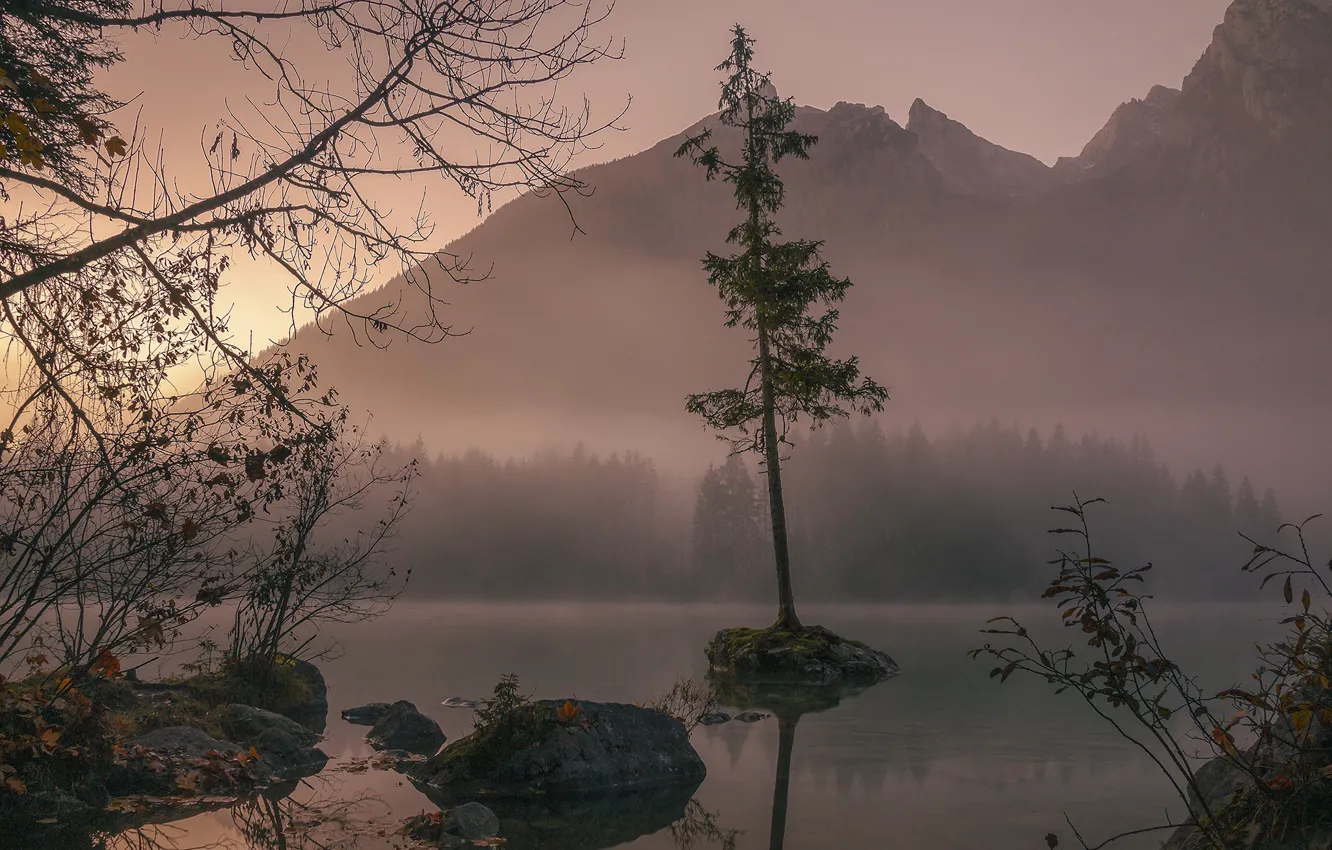 Photo wallpaper autumn, forest, trees, landscape, mountains, nature, fog, stones