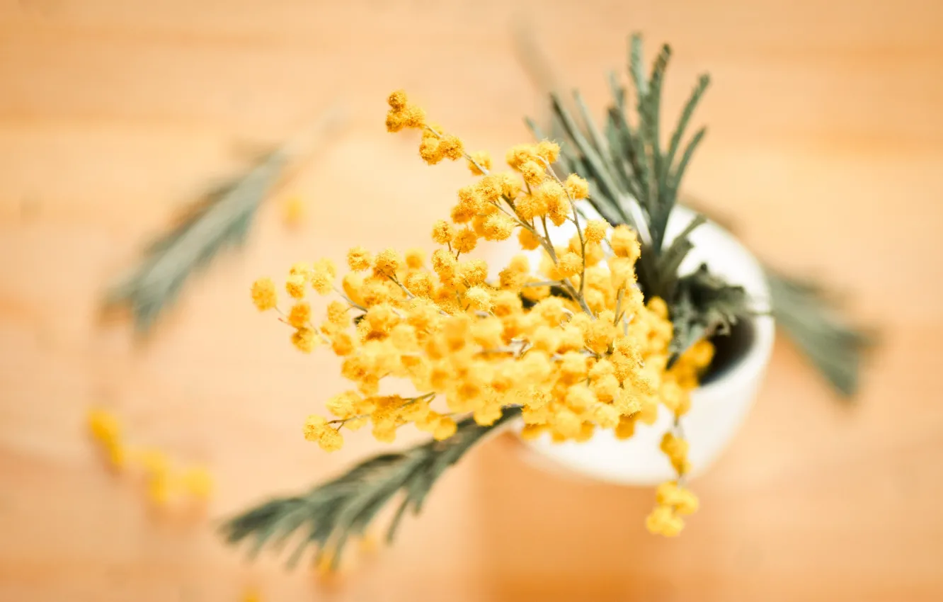 Photo wallpaper flowers, yellow, blur, vase, buds, Mimosa