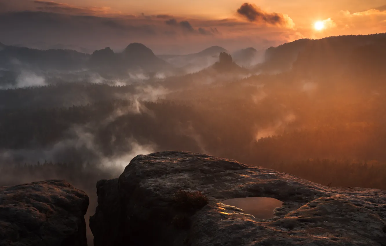 Photo wallpaper forest, the sky, the sun, clouds, trees, sunset, mountains, nature