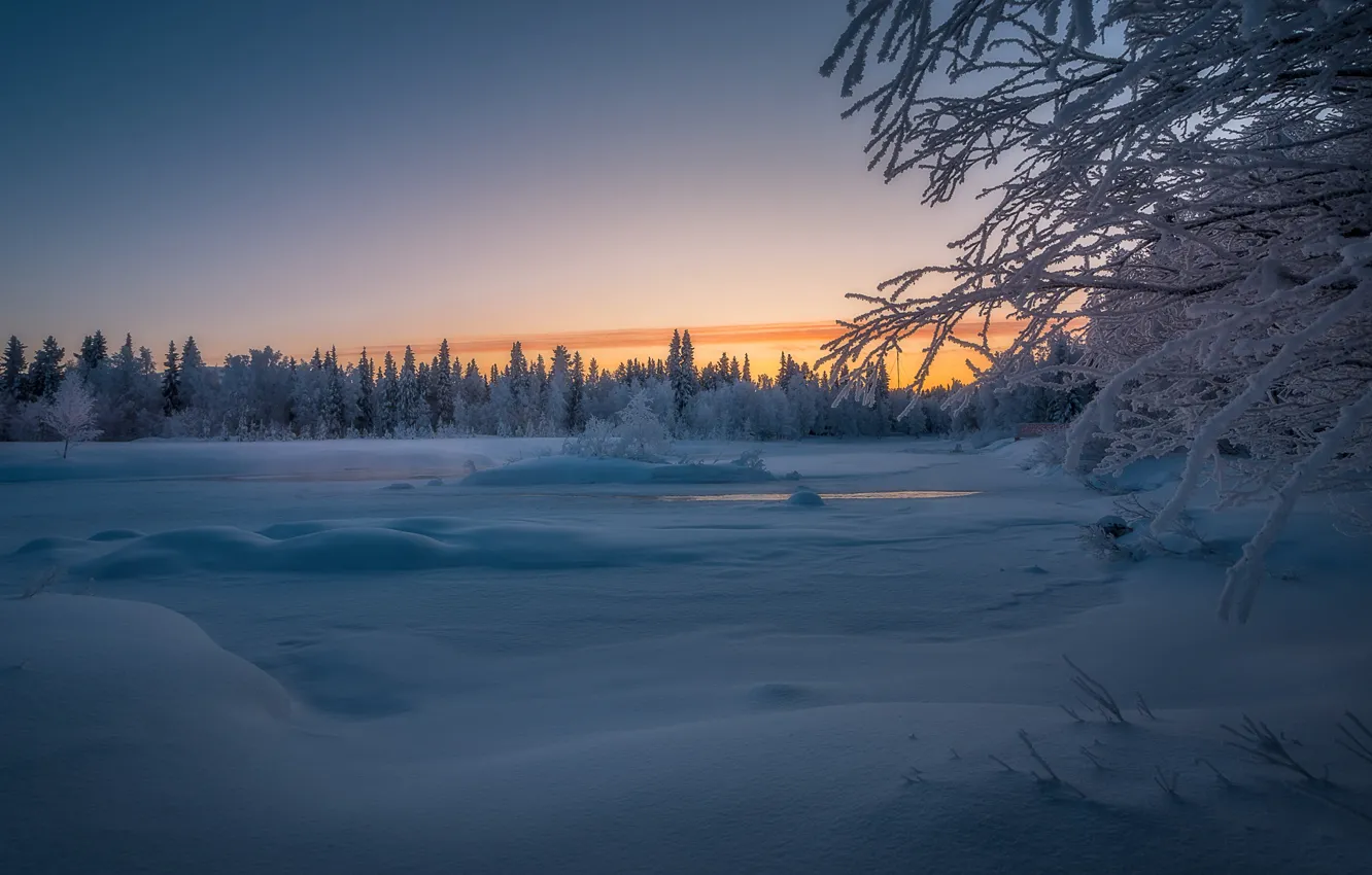 Photo wallpaper winter, forest, snow, trees, sunset, river, Finland, Finland