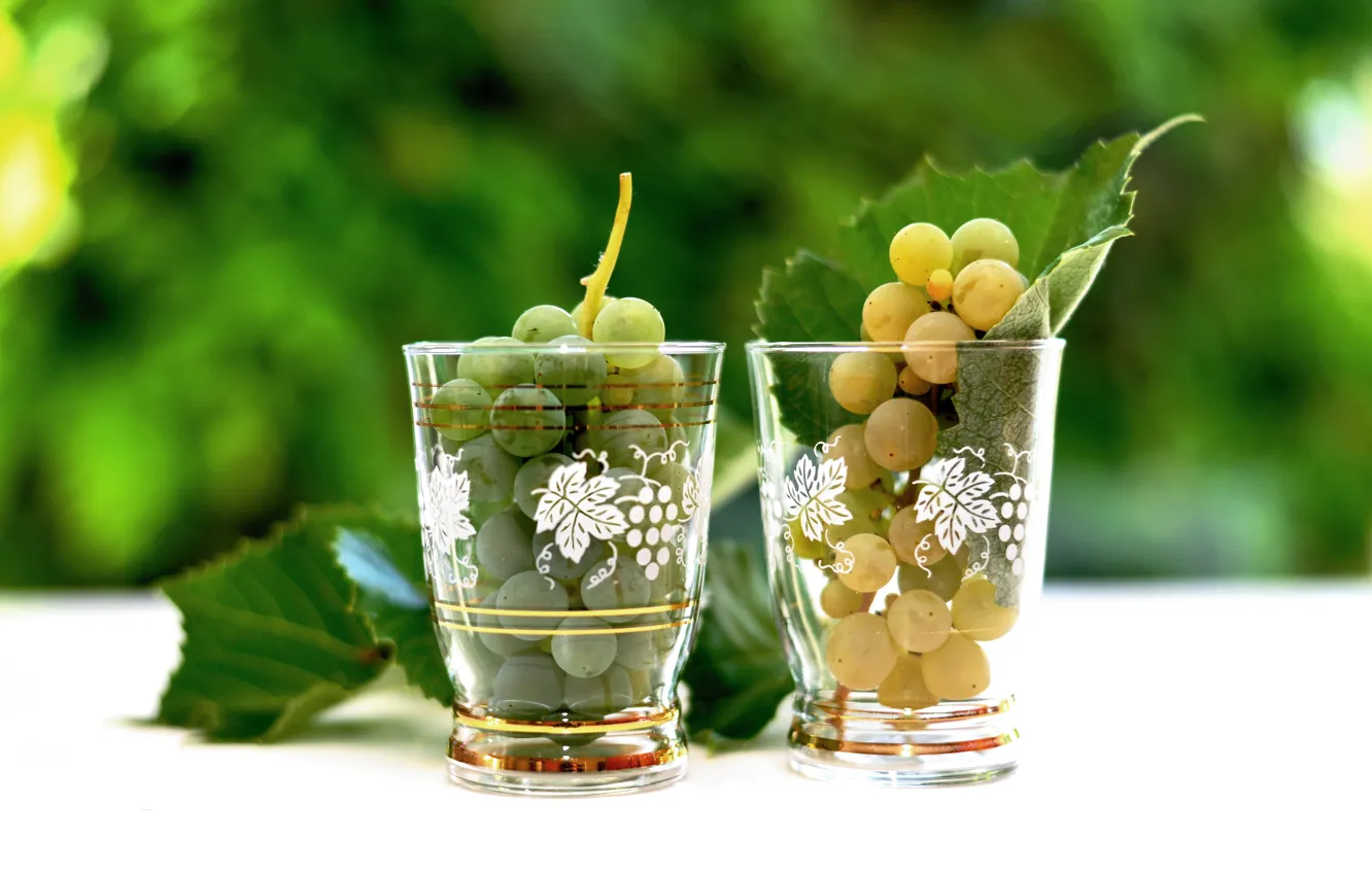 Photo wallpaper leaves, grapes, glasses