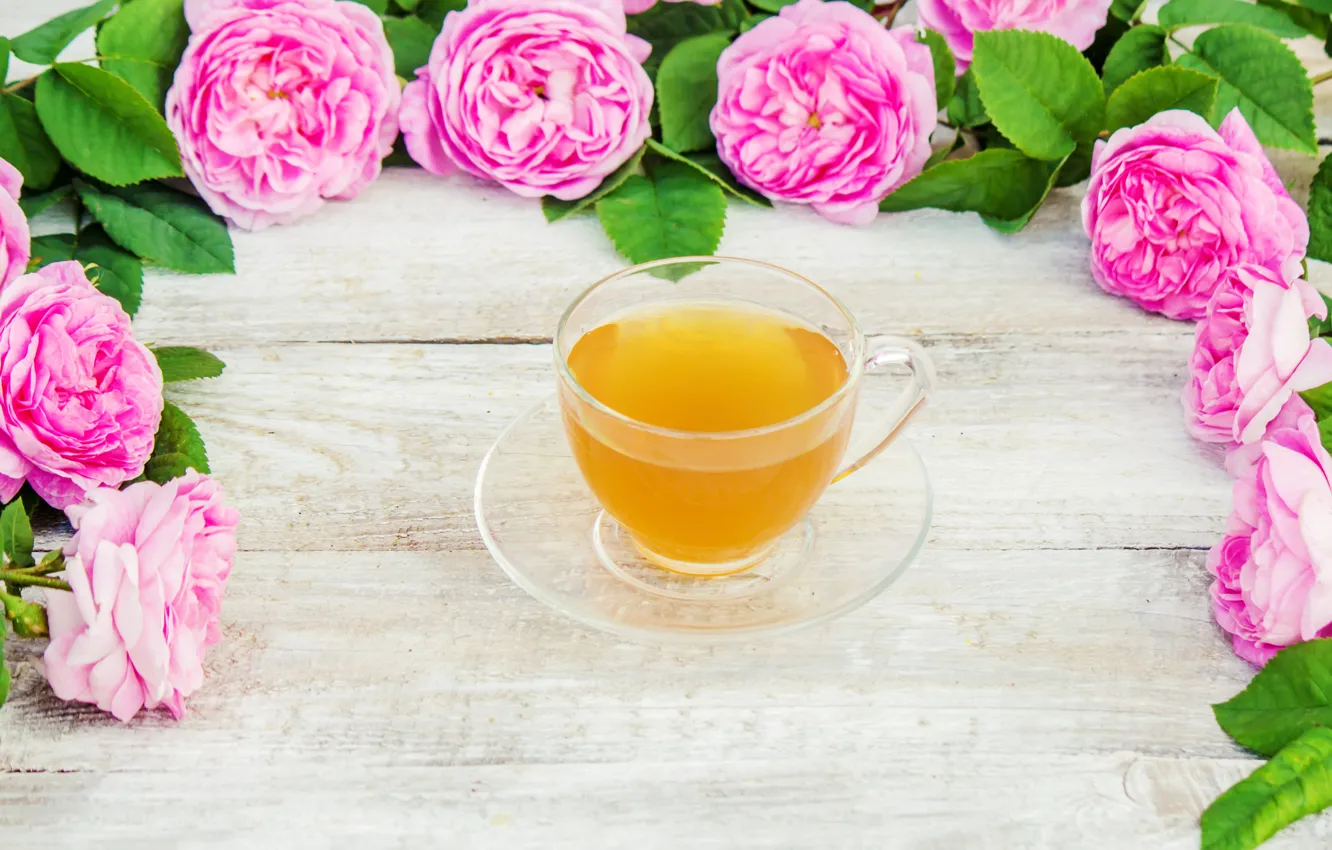 Photo wallpaper flowers, roses, petals, pink, wood, pink, flowers, cup