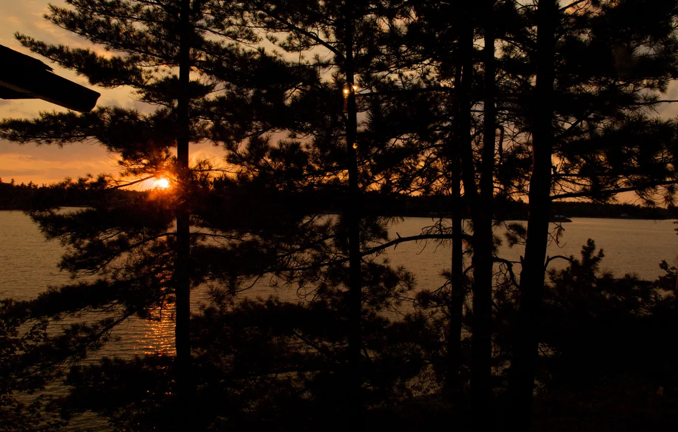 Photo wallpaper landscape, sunset, nature, lake, the evening, pine