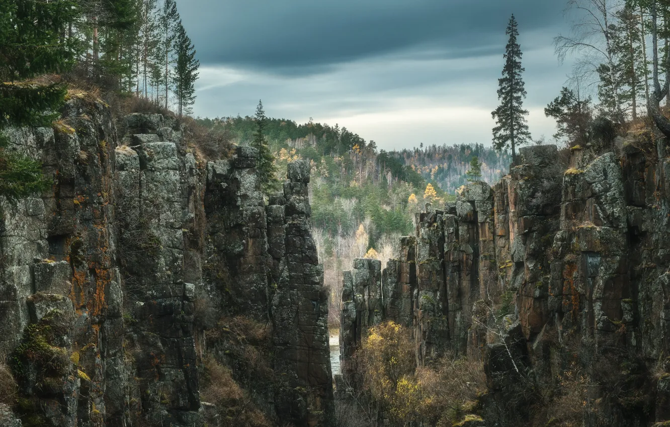 Photo wallpaper forest, landscape, nature, river, rocks, canyon, taiga, Rev Alex