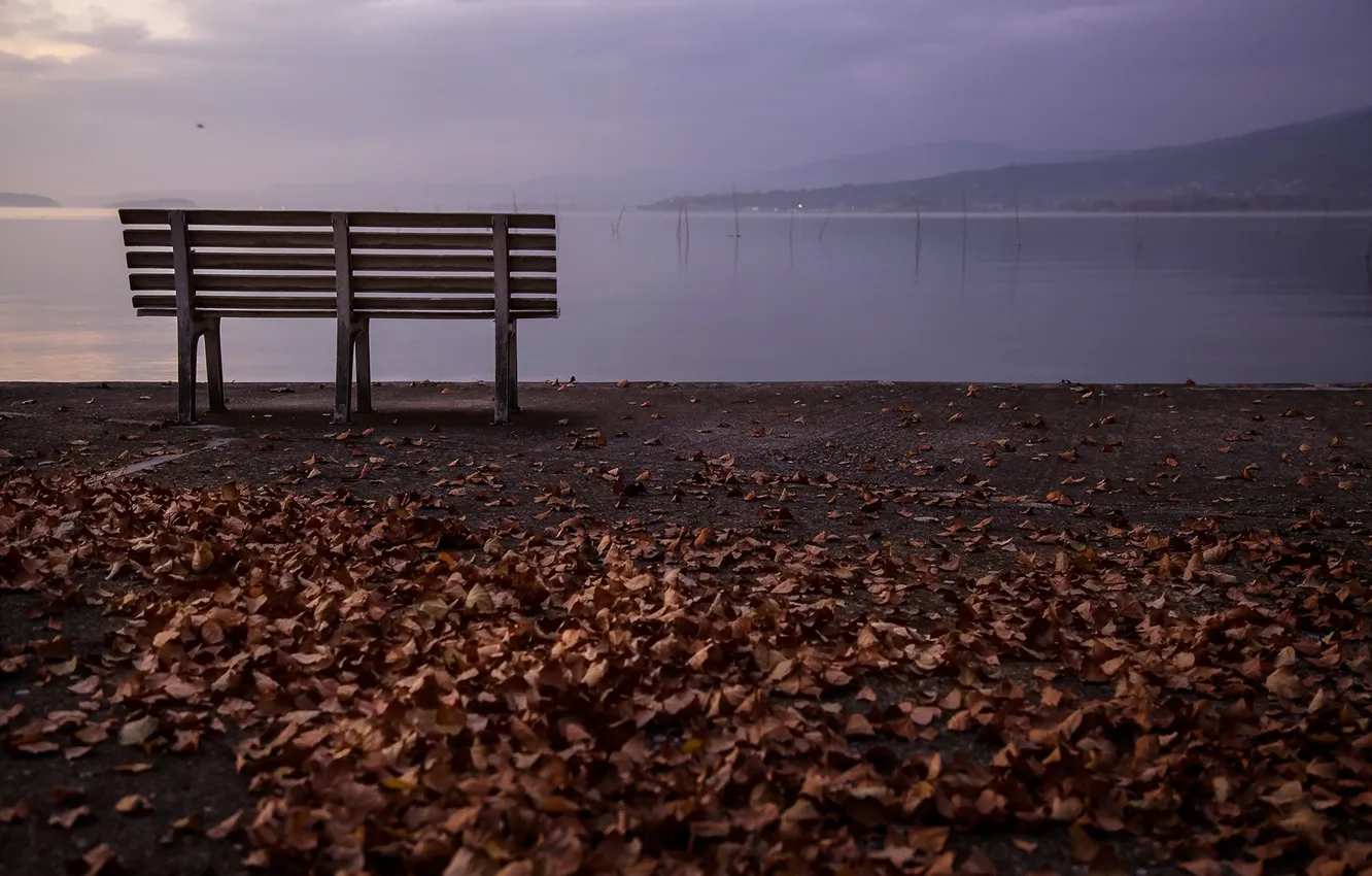 Photo wallpaper autumn, landscape, nature, lake, mood, the evening, twilight, bench