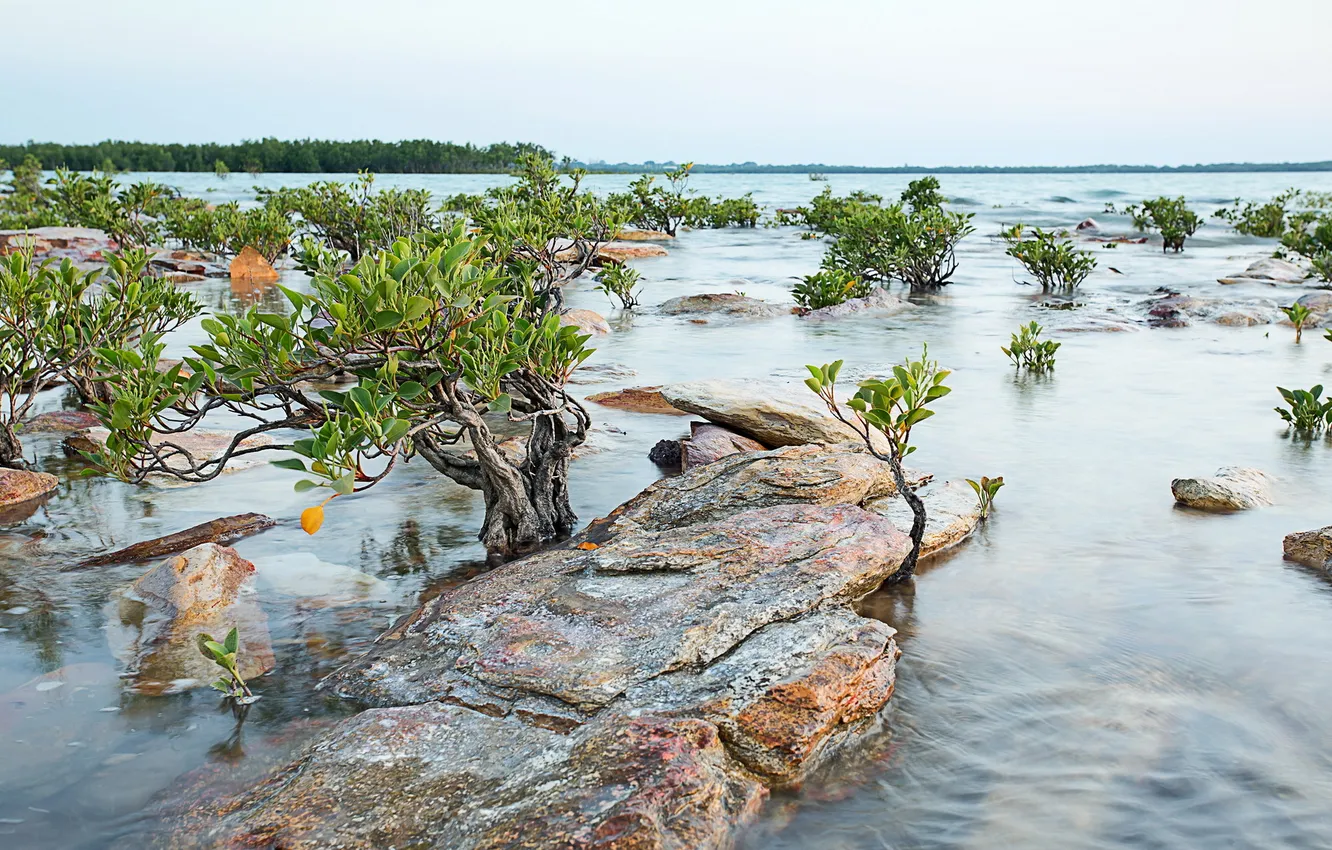 Photo wallpaper landscape, river, stones