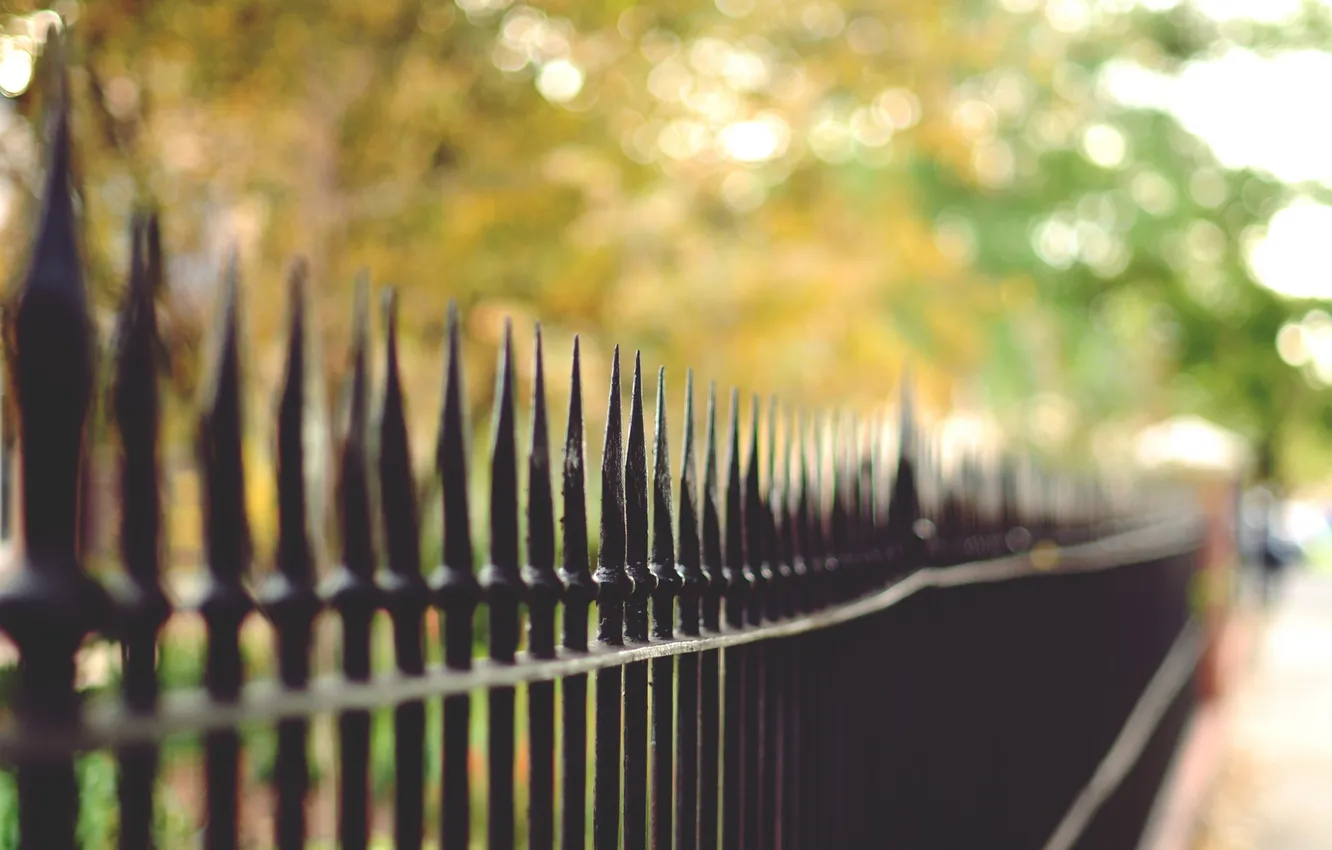 Photo wallpaper the fence, fence, bokeh