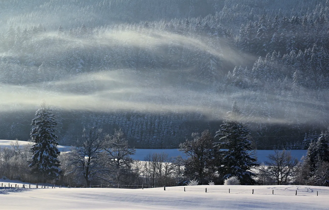 Photo wallpaper winter, field, forest, fog