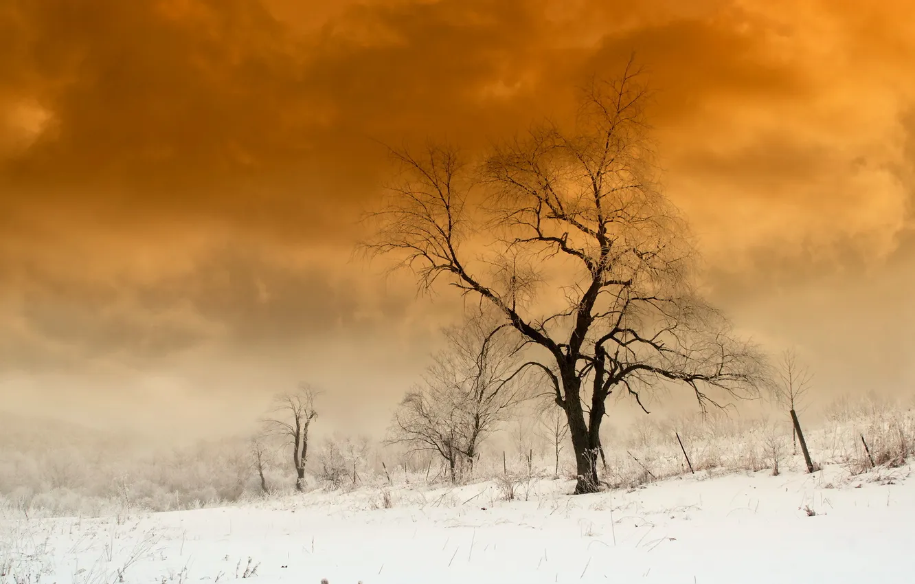 Photo wallpaper winter, snow, landscape