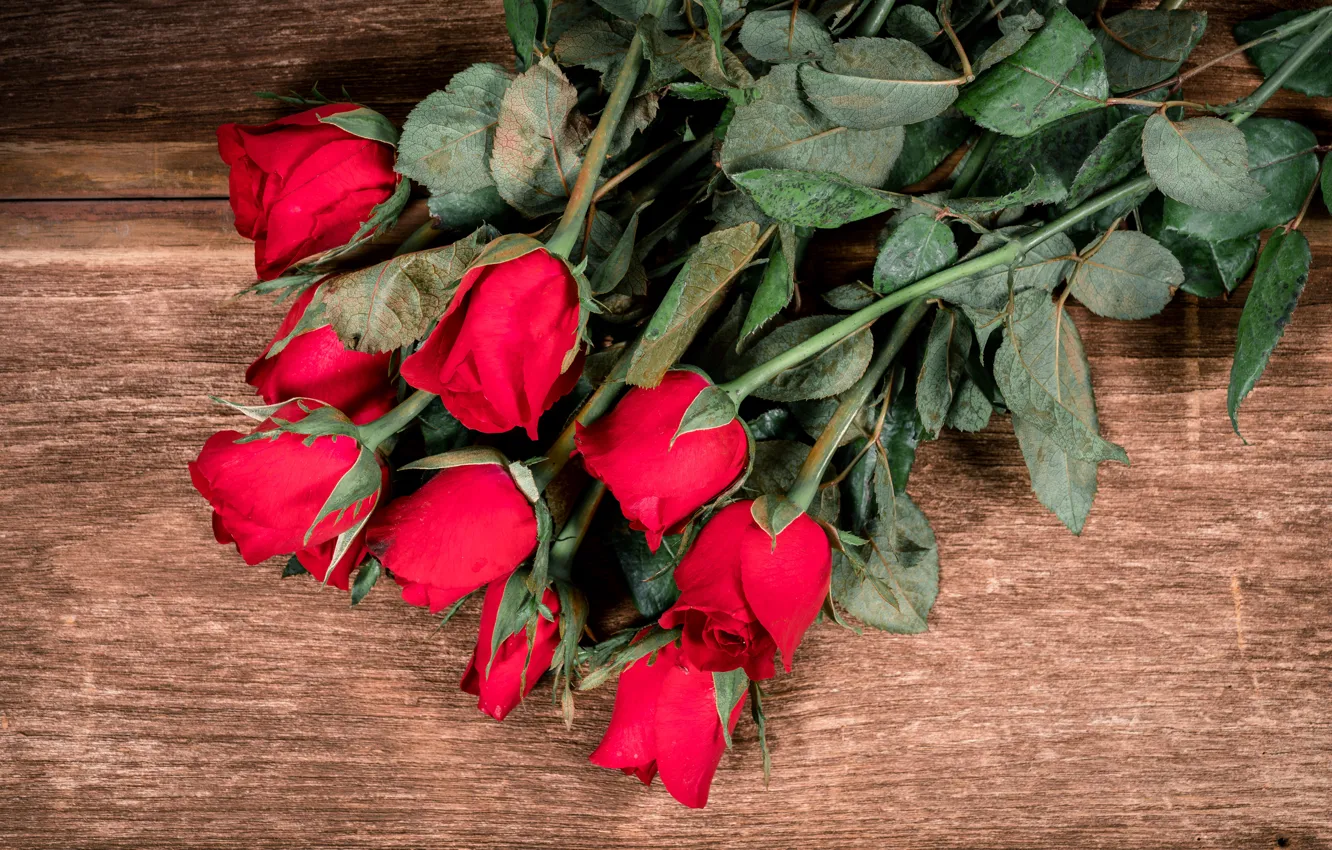 Photo wallpaper flowers, red, roses, bouquet, red, buds, wood, flowers