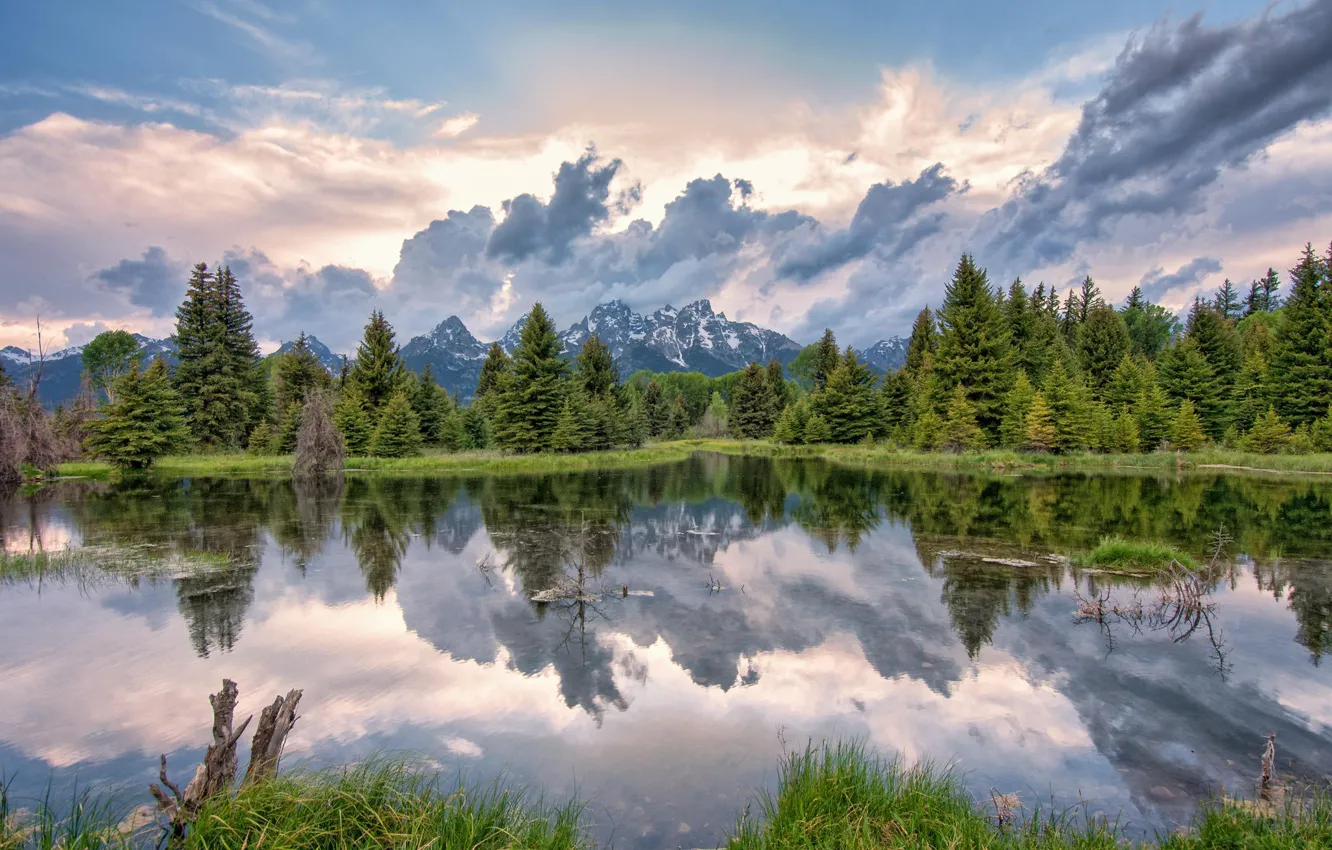 Photo wallpaper forest, mountains, nature, lake, reflection