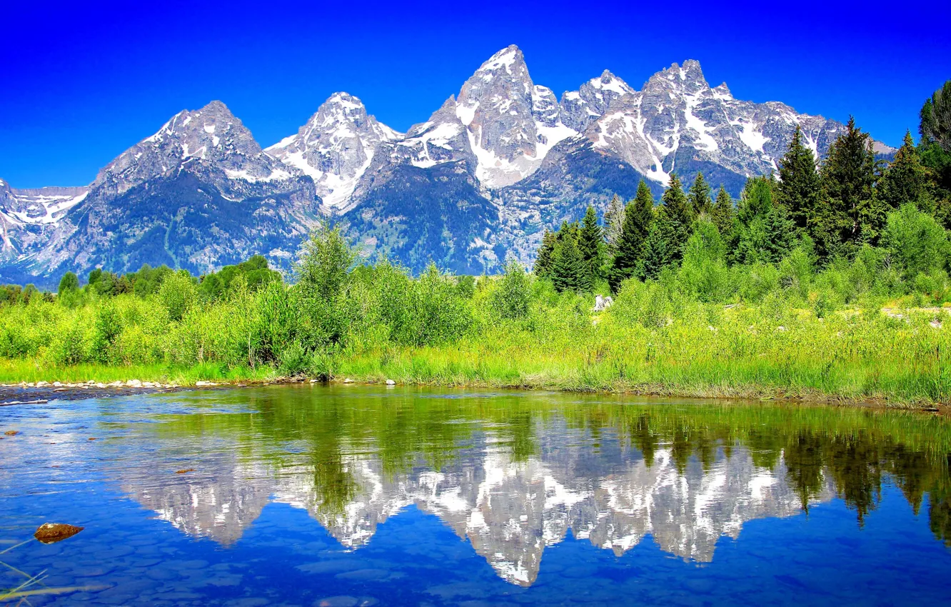 Photo wallpaper trees, landscape, mountains, river