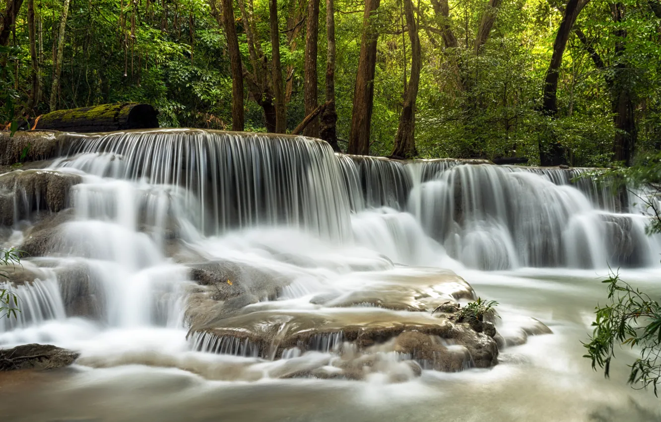 Photo wallpaper forest, landscape, river, rocks, waterfall, summer, forest, tropical