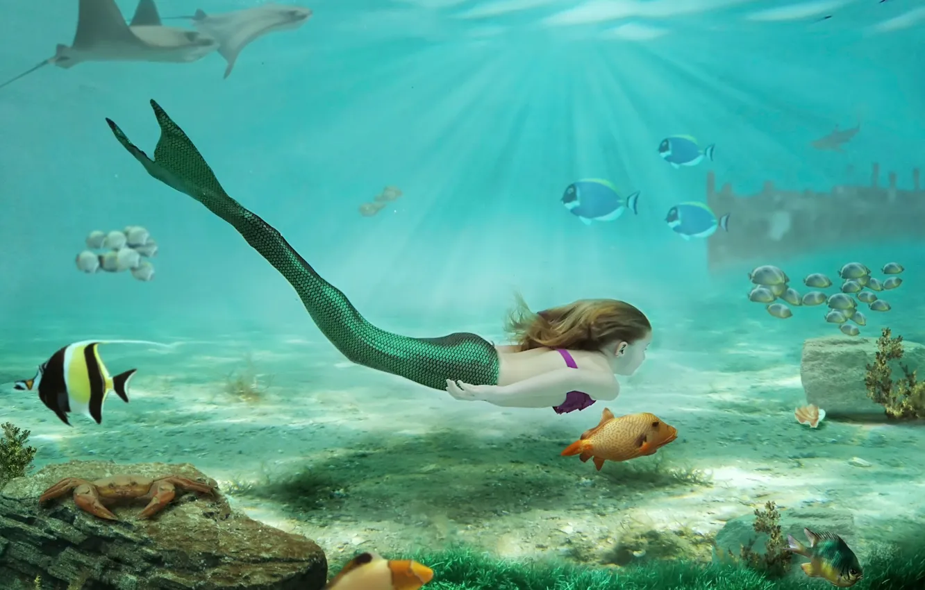 Photo wallpaper fish, mermaid, girl, underwater world, Little Mermaid