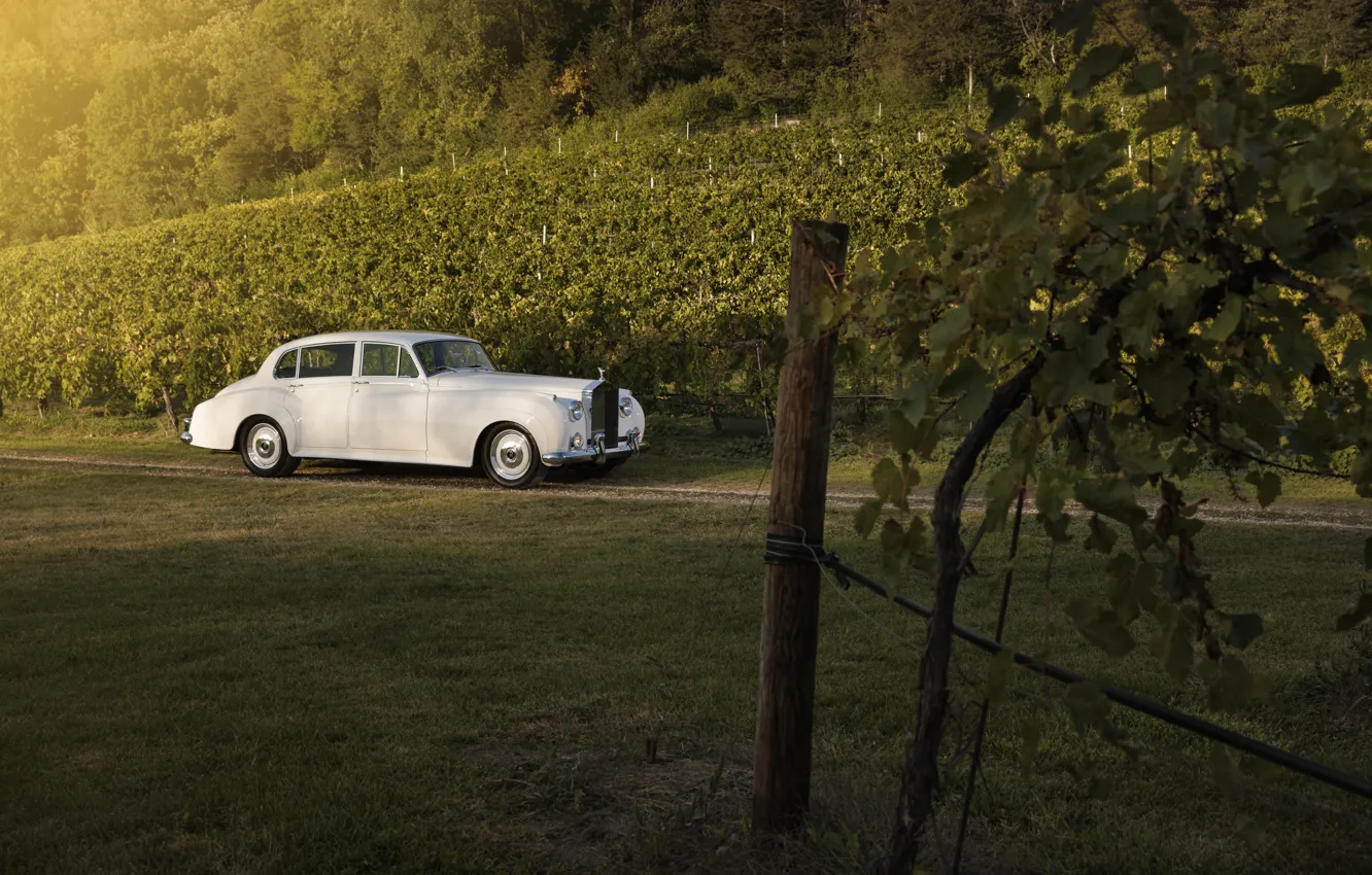 Photo wallpaper car, Rolls-Royce, 1961, Ringbrothers, vineyards, Silver Cloud, Rolls-Royce Silver Cloud II, Rolls-Royce Silver Cloud II …