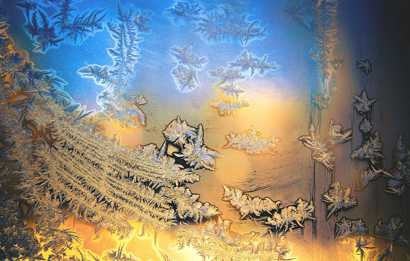 Photo wallpaper cold, winter, frost, glass, blue, yellow, pattern, frost