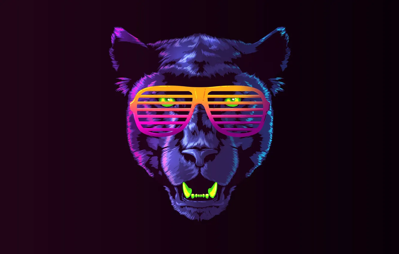 Photo wallpaper Color, Minimalism, Music, Cat, Retro, Glasses, Panther, Background