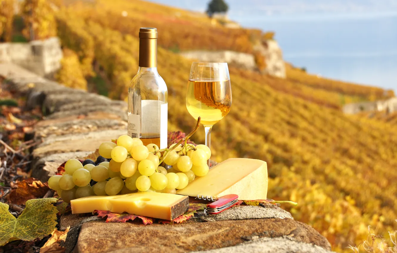 Photo wallpaper wine, food, cheese, grapes