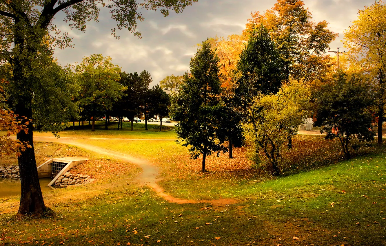 Photo wallpaper autumn, the sky, grass, trees, clouds, nature, foliage, the evening
