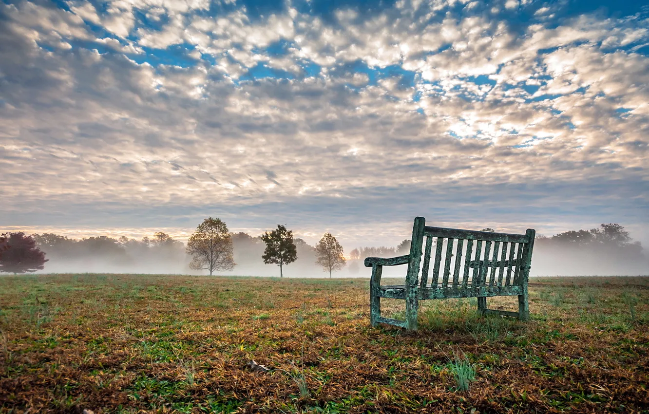 Photo wallpaper field, landscape, fog, bench