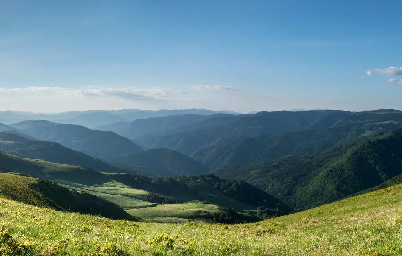 Photo wallpaper field, the sky, the sun, mountains, meadow, Bulgaria, Pirin Mountains, облакаTodorka