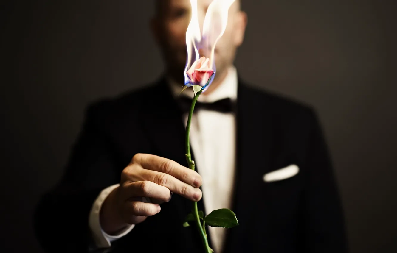 Photo wallpaper fire, rose, people