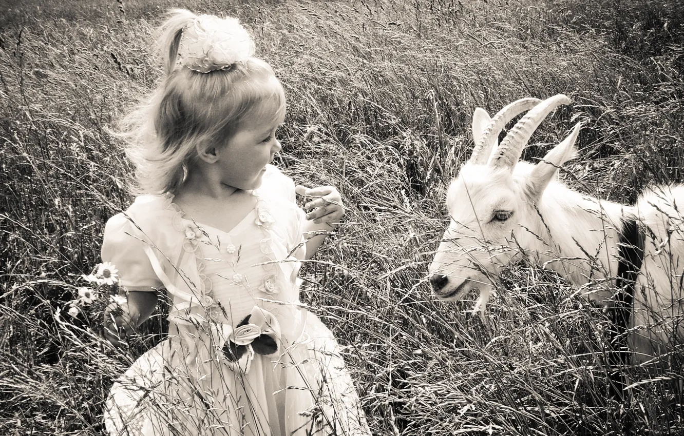 Photo wallpaper summer, dress, smile, beautiful, child, little girl, a girl and a goat