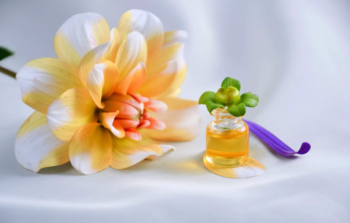 Photo wallpaper flowers, oil, buds, dahlias