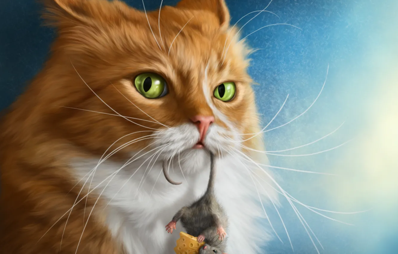 Photo wallpaper cat, look, cheese, mouse