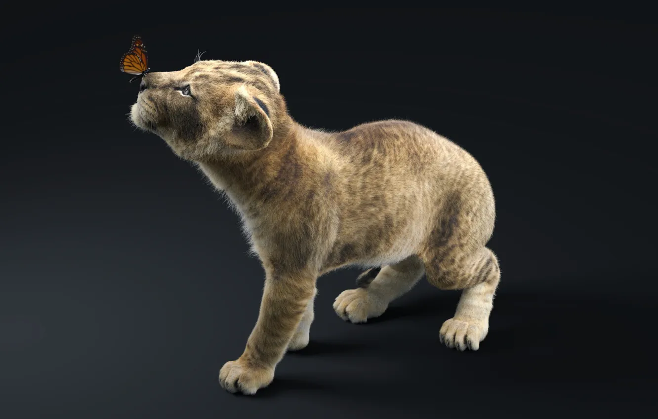 Photo wallpaper cub, Getting to know the world, Lion cub and butterfly