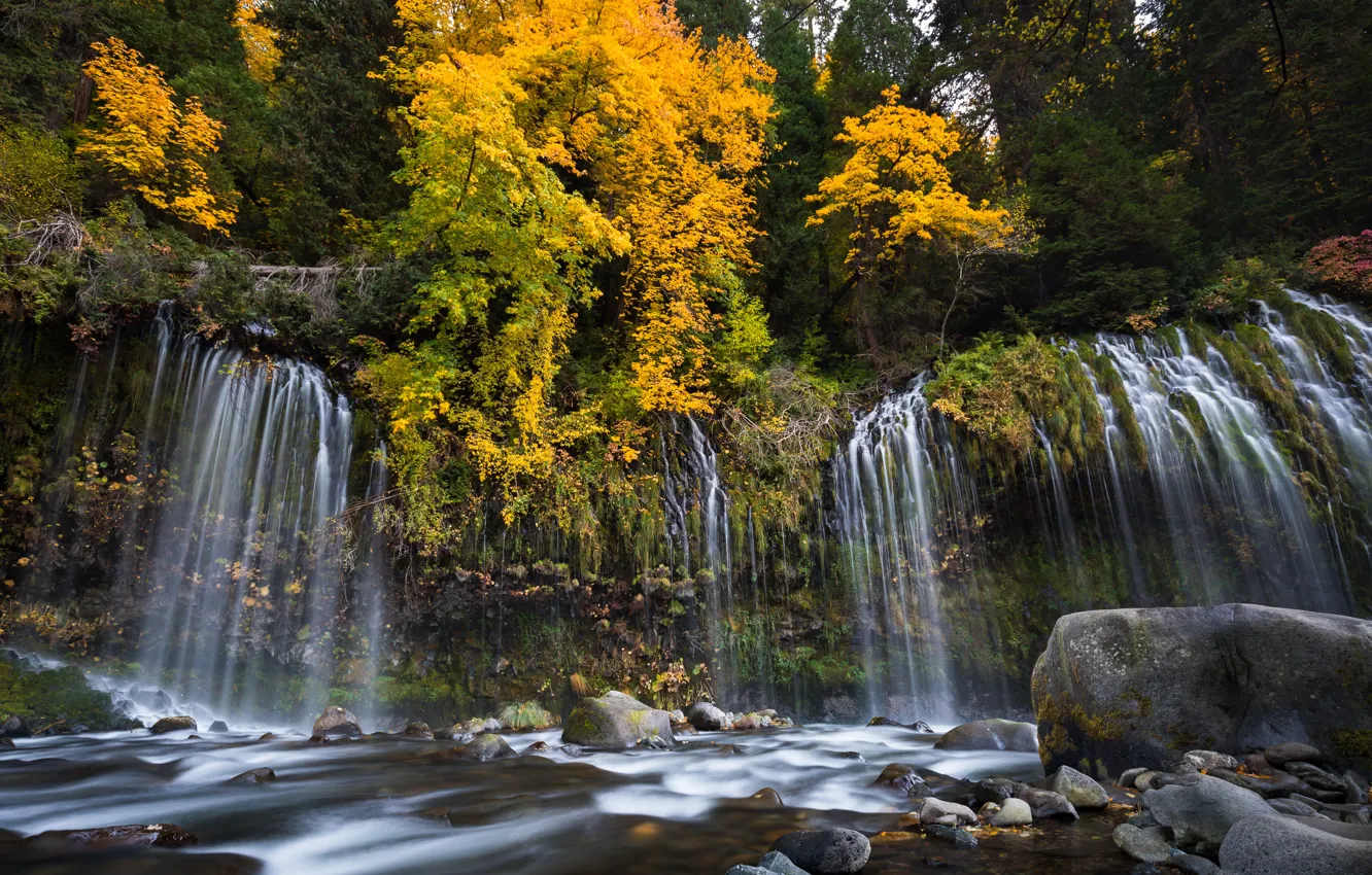 Photo wallpaper autumn, forest, trees, river, stones, waterfall, CA, cascade