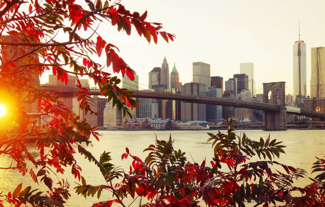 Photo wallpaper autumn, leaves, bridge, the city, Brooklyn, New York