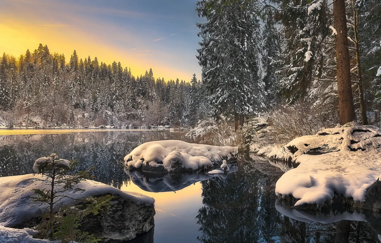 Photo wallpaper winter, forest, lake