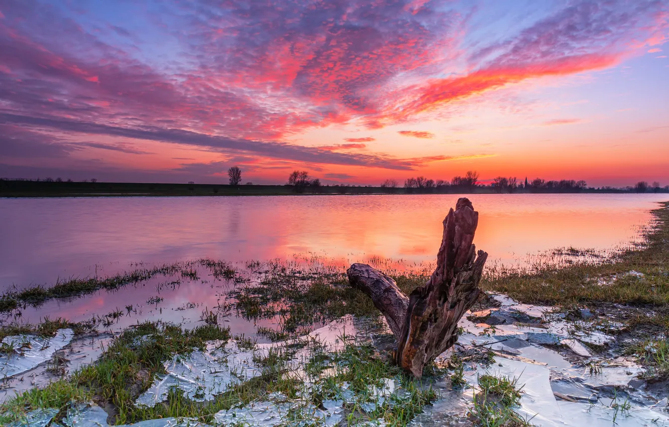 Photo wallpaper sunset, shore, snag, pond