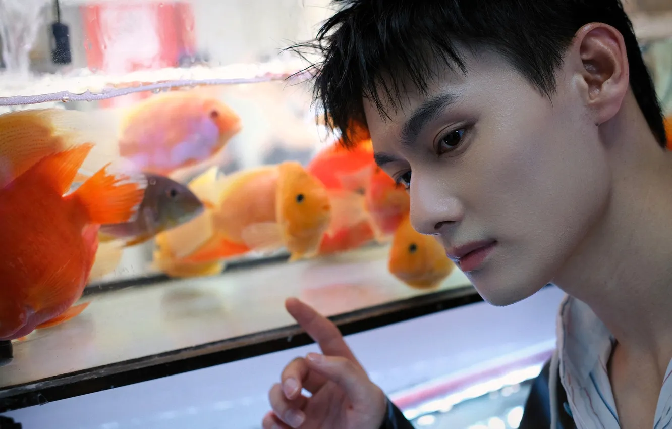 Photo wallpaper China, face, aquarium, actor, Wang Zhuocheng, fish