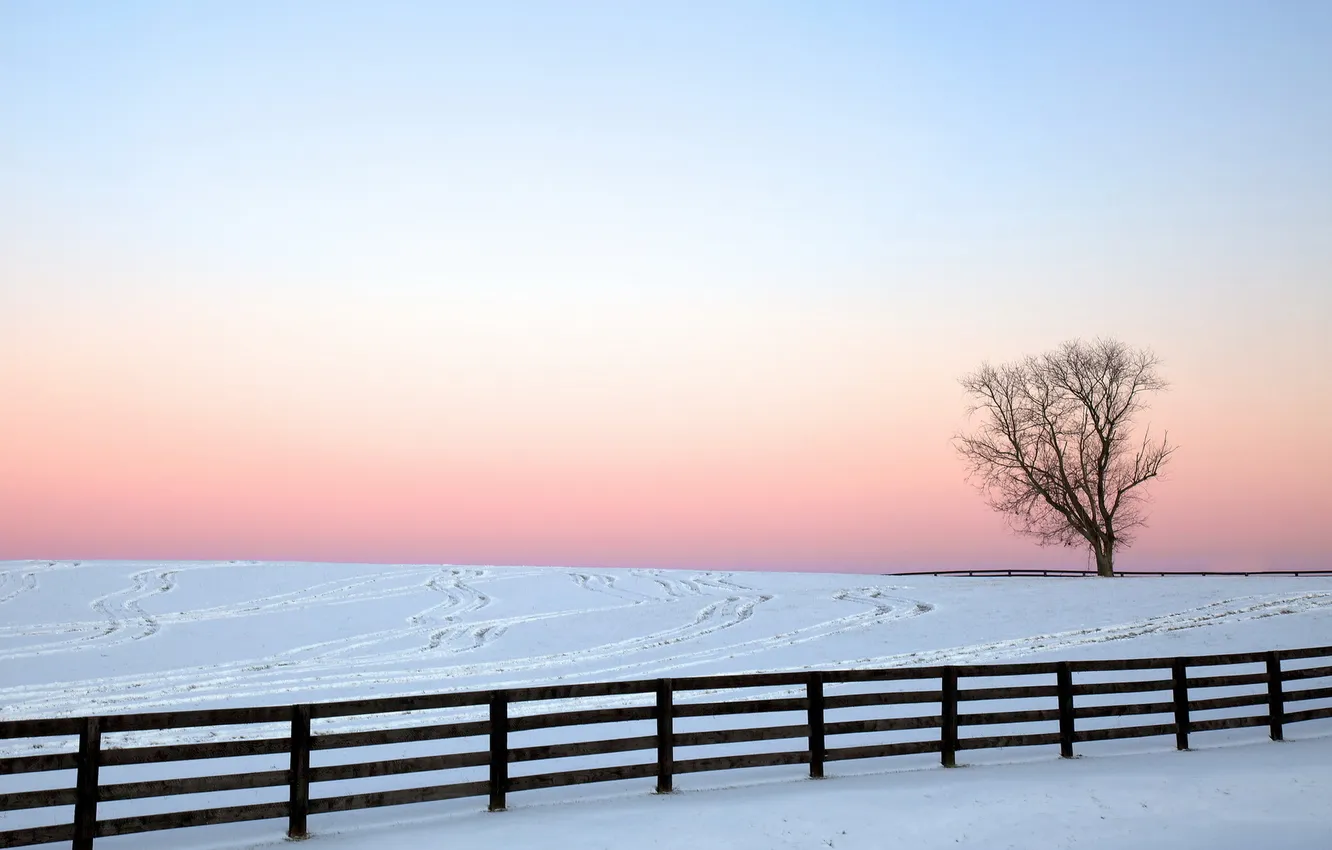 Photo wallpaper winter, field, landscape, the fence