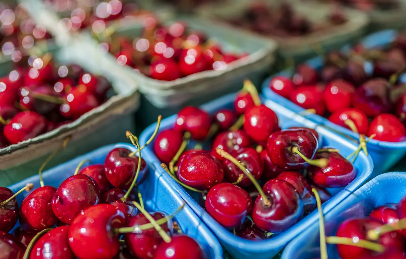 Photo wallpaper cherry, berries, harvest, red, a lot, cherry, containers, box