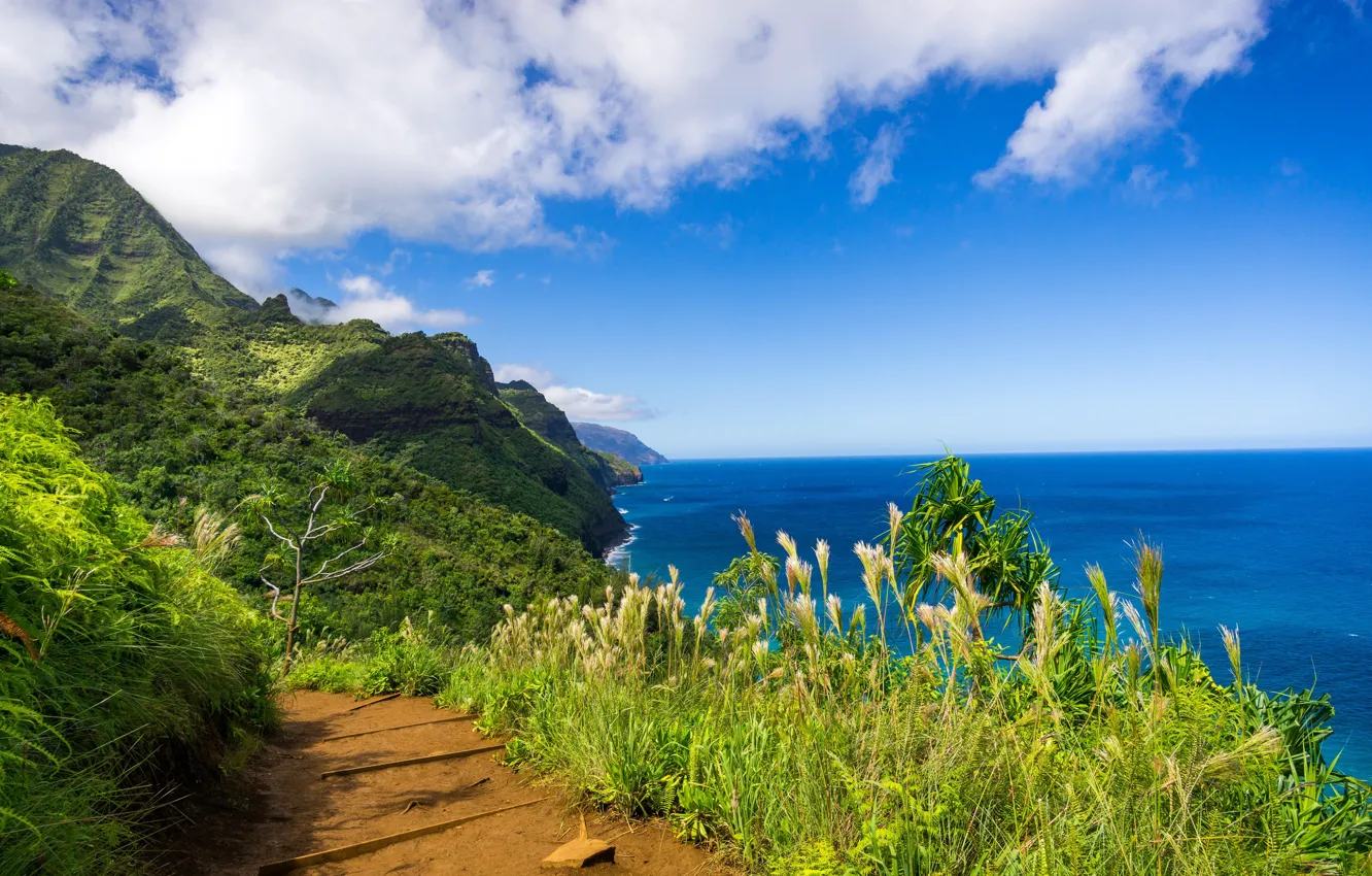 Photo wallpaper mountains, coast, path, Hawaii, Kauai, Hawaii, The Na Pali Coast