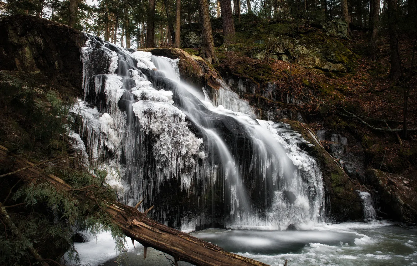 Photo wallpaper winter, forest, waterfall, ice, Connecticut, Woodbury, Nonnewaug Falls