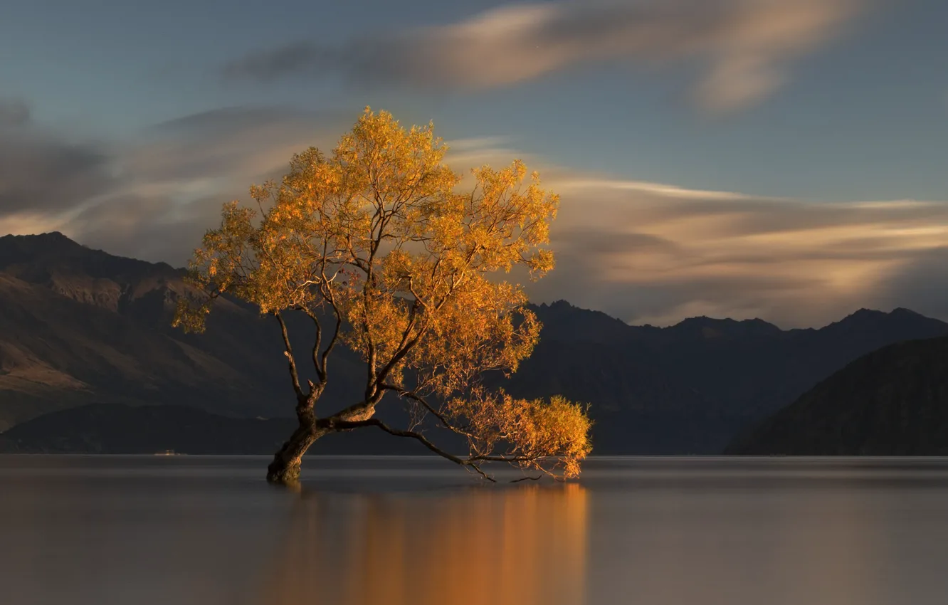 Photo wallpaper autumn, water, mountains, nature, lake, tree, New Zealand
