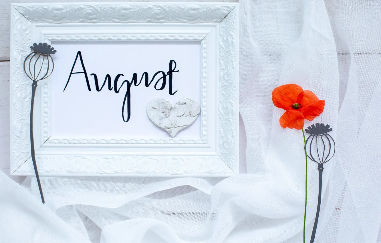 Photo wallpaper Mac, frame, August