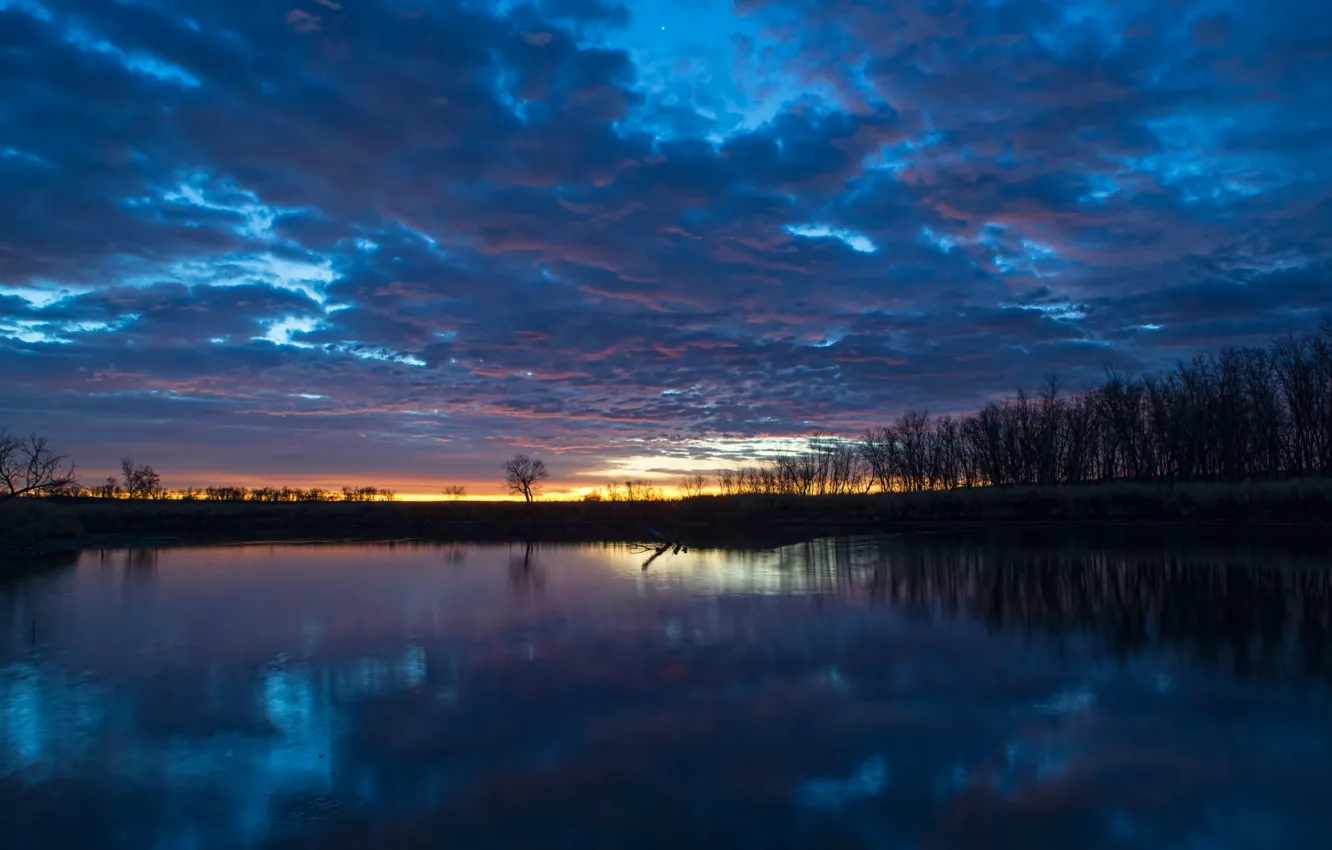 Photo wallpaper the sky, water, clouds, trees, clouds, surface, reflection, river