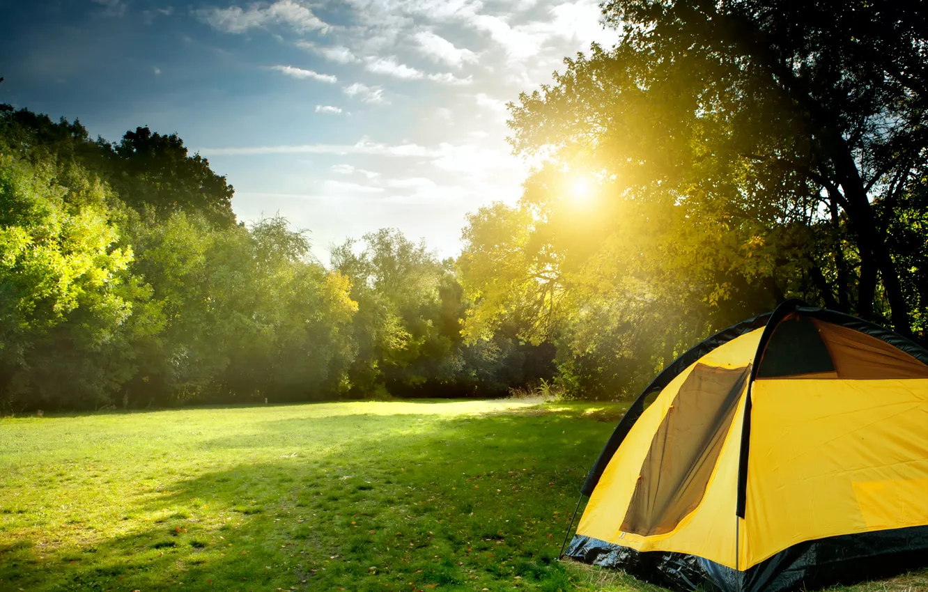 Photo wallpaper greens, the sun, rays, landscape, nature, tent