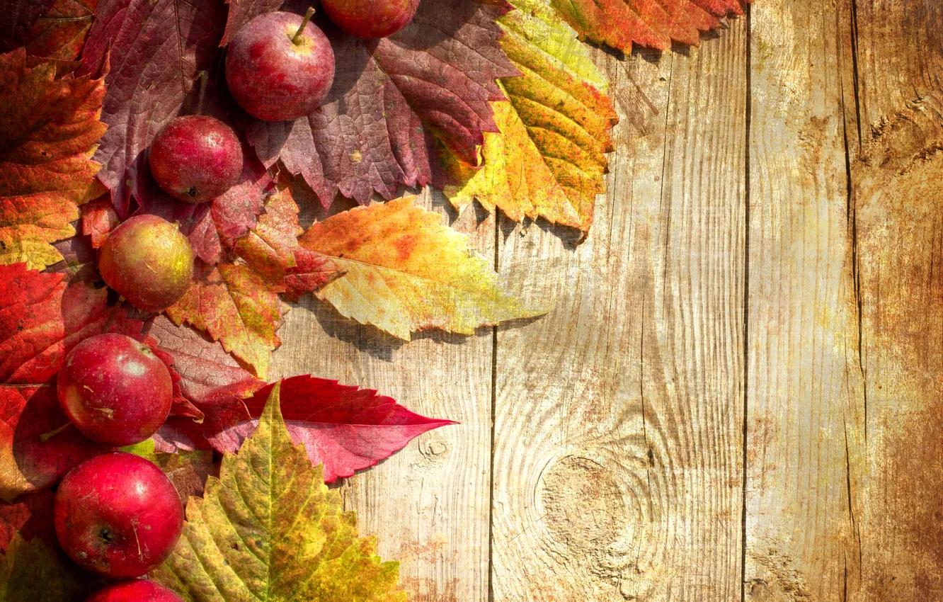 Photo wallpaper autumn, red, green, green, apples, Board, leaf, red