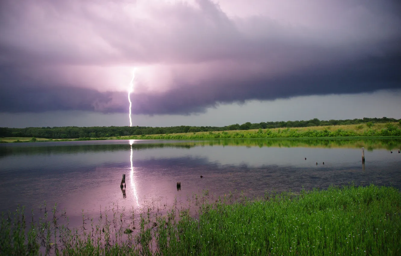 Photo wallpaper the storm, forest, clouds, lake