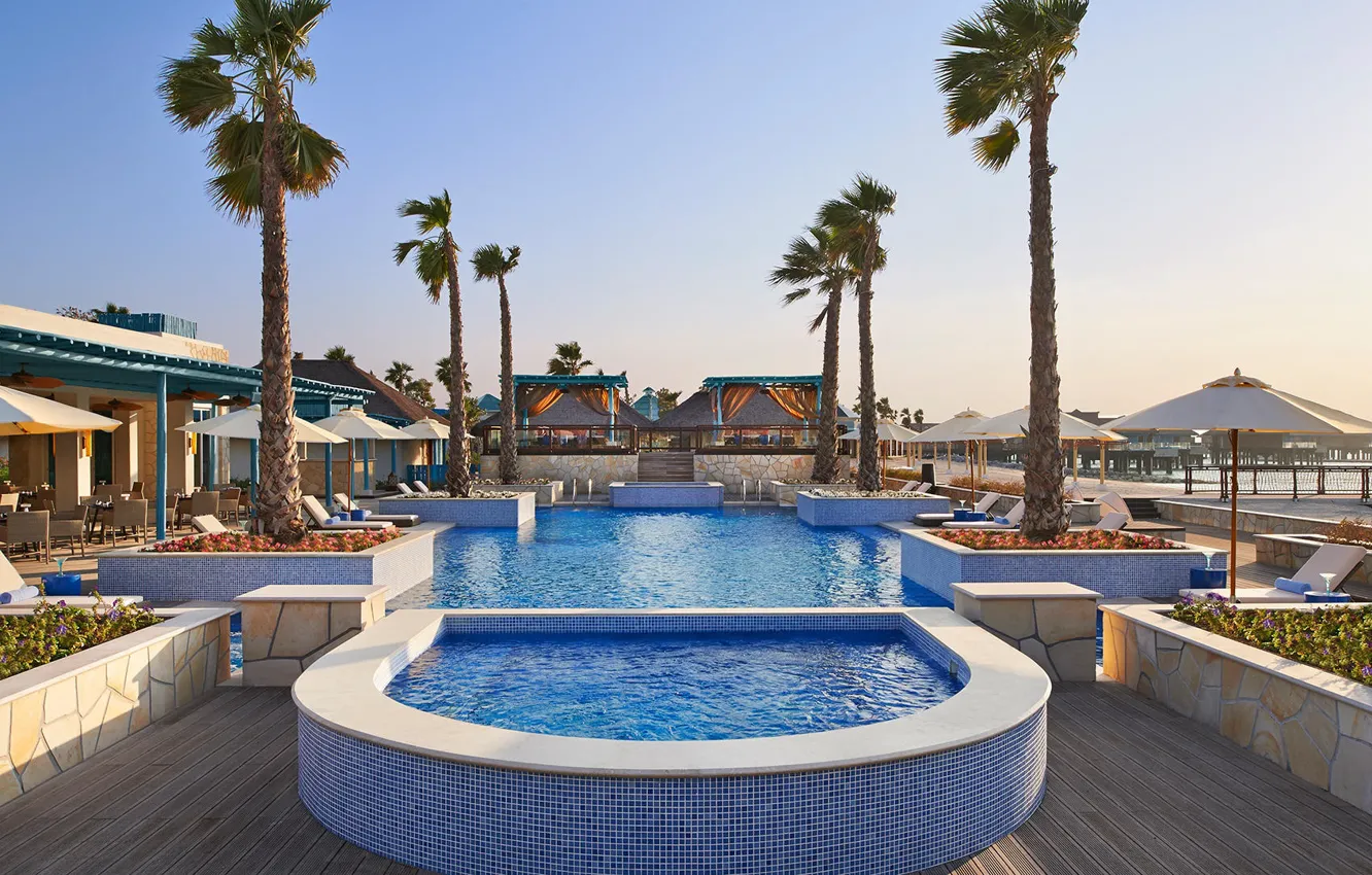 Photo wallpaper palm trees, pool, resort, Qatar, Dog, Qatar, Doha