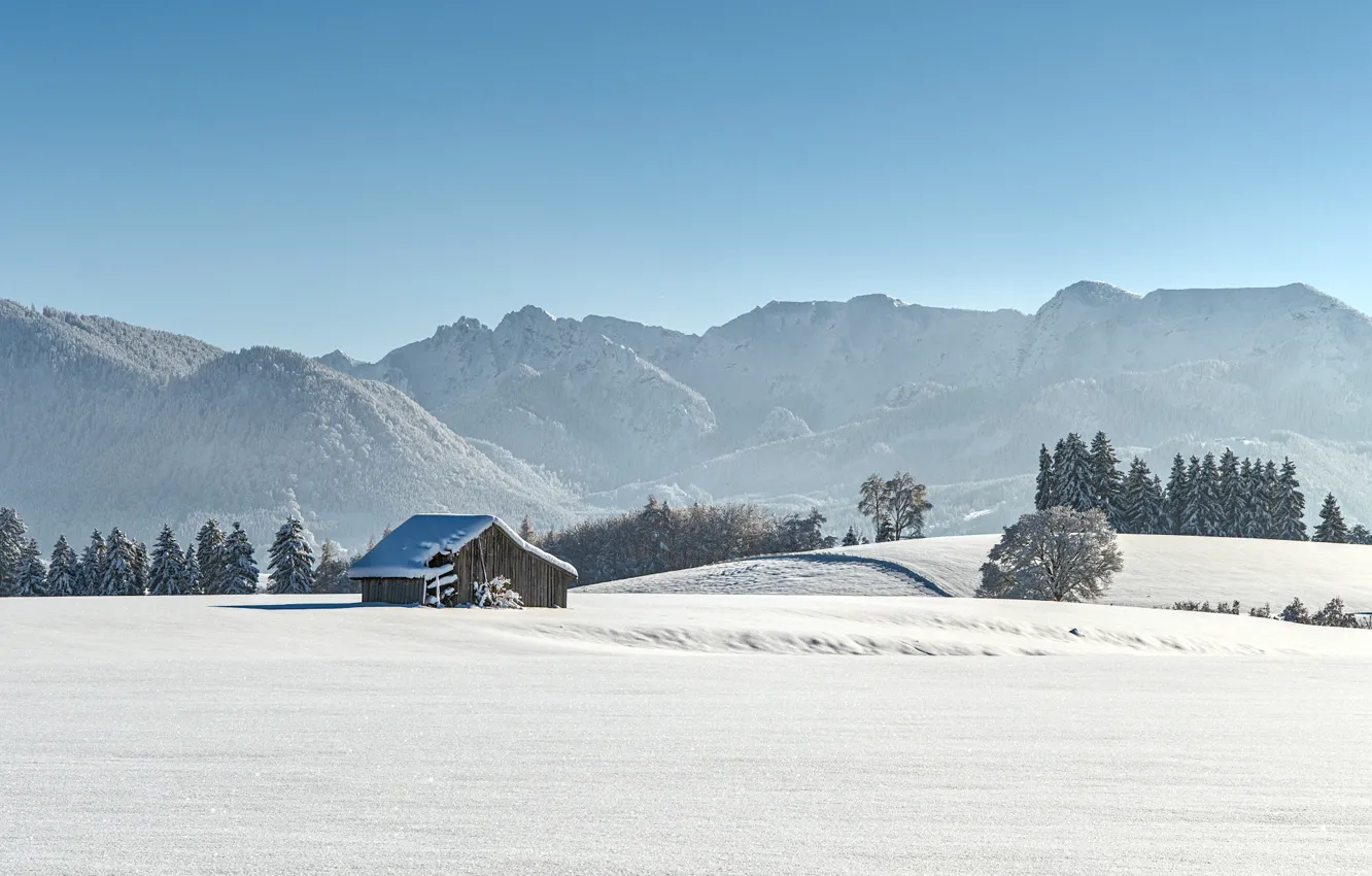 Photo wallpaper winter, frost, field, forest, the sky, snow, fog, hills