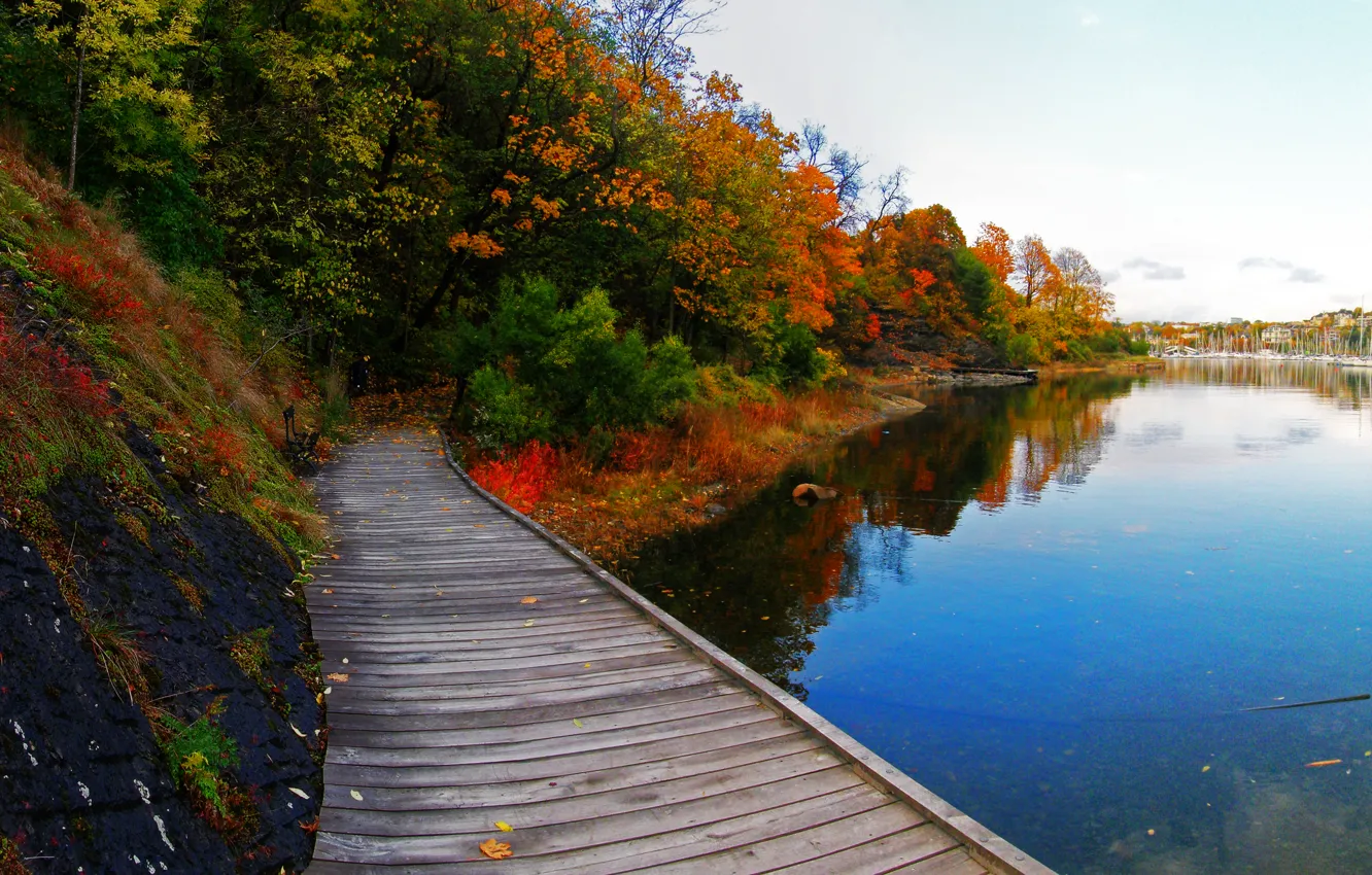 Photo wallpaper autumn, trees, nature, lake, track, Nature, the bridge, trees